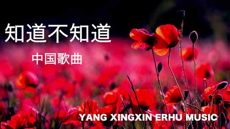 Yang Xingxin Erhu Music