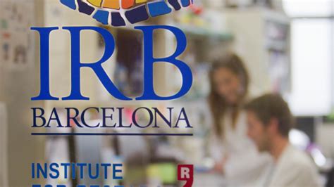 En El Irb De Barcelona Identifican C Lulas Causantes De Met Stasis En