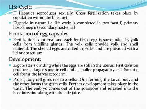 Life Cycle Of Fasciola Hepatica Pptx