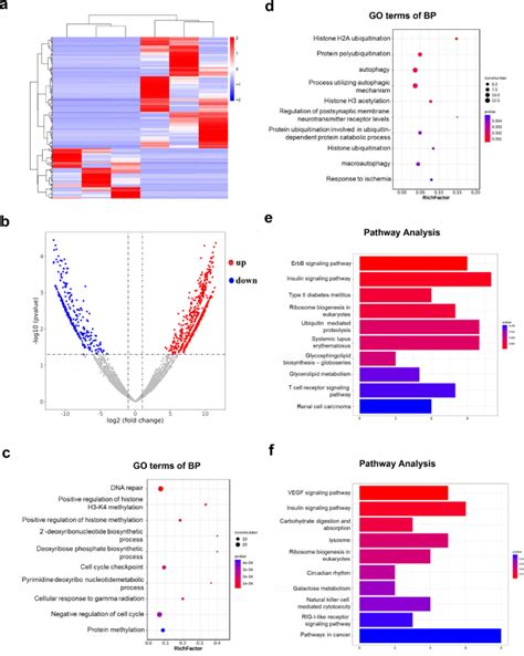 Expression Profiling Of N6 Methyladenosine Modified Mrna In Pc12 Cells