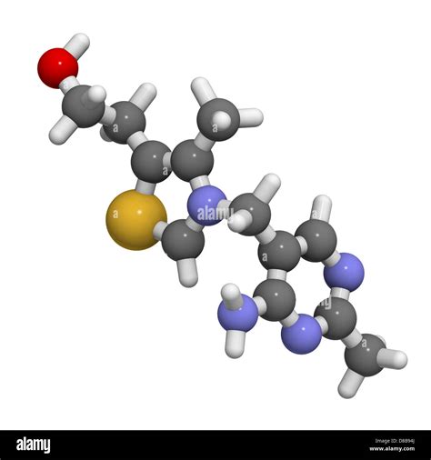 Vitamin B Thiamine Molecular Model Atoms Are Represented As Stock