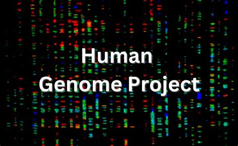 The Human Genome Project-Goals, Methods, and Applications