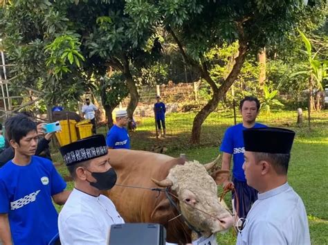 Suasana Idul Adha Di Sarang Petarung Cilandak