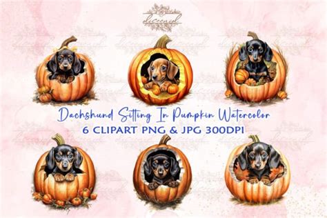 Dachshund Pumpkin Watercolor Clipart Graphic By Diceenid · Creative Fabrica