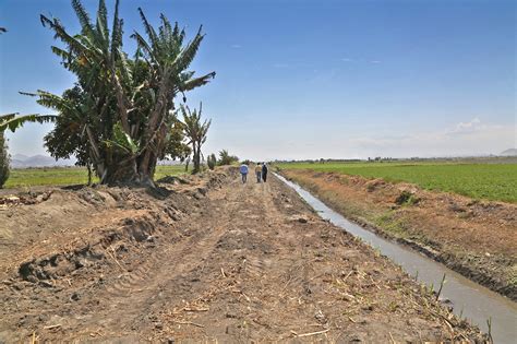 Chinecas Culmina Mantenimiento Y Limpieza De Dren La Aguada En Santa