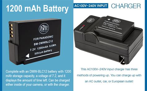 Amazon Bm Premium Pack Of Dmw Blc Batteries And Dual Bay