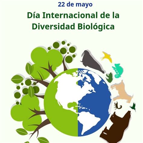 22 De Mayo Día Mundial De La Biodiversidad Espacioteca