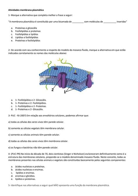 SOLUTION Atividades Membrana Plasm Tica Studypool