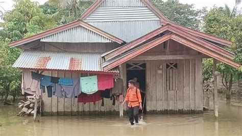 Akibat Hujan Deras Ribuan Warga Desa Di Luwu Utara Terendam Banjir