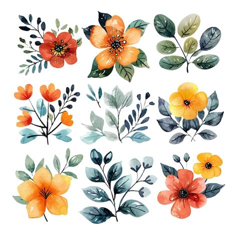 Conjunto De Flores De Acuarela Vectorial Simple Vector Premium