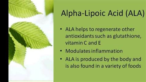 Benefits Of Alpha Lipoic Acid An Oasis Of Healing Continue Reading