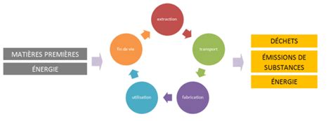 Étude de cas standard Cycle de vie et analyse du cycle de vie