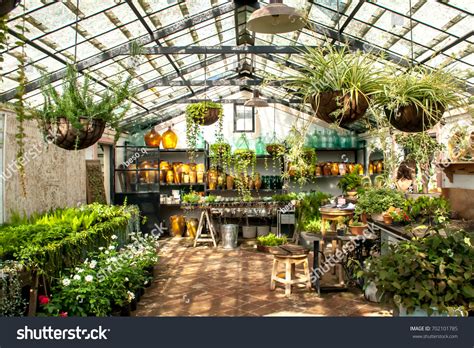 Gardening Greenhouse Interior Stock Photo Shutterstock