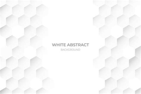 White Background Vector Art, Icons, and Graphics for Free Download