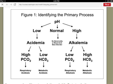 Easy Peasy Respiratory Acidosis Respiratory Alkalosis Acidosis And