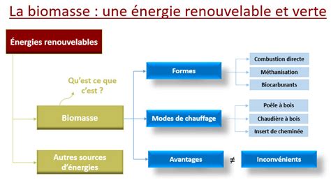 Production Et Valorisation De Biomasse Belmans Recycling Hot Sex Picture