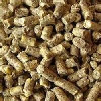 Dairy Cattle Feed In Delhi | Dairy Cattle Feed Manufacturers, Suppliers ...