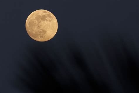 Cuándo Y Cómo Ver La última Superluna Del Año Infobae