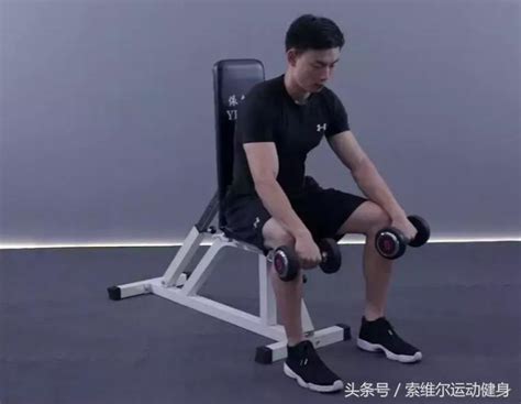 「動作教學」坐姿啞鈴正握手腕彎舉 - 每日頭條