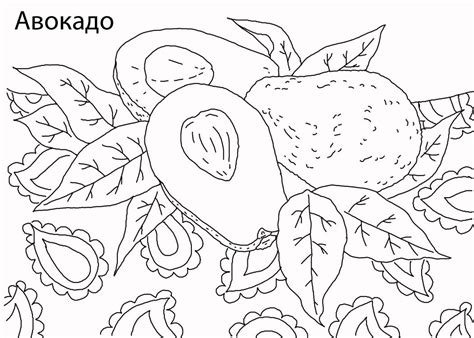 Раскраска Авокадо скачать и распечатать бесплатно