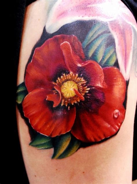 Great poppy pictures - Tattooimages.biz