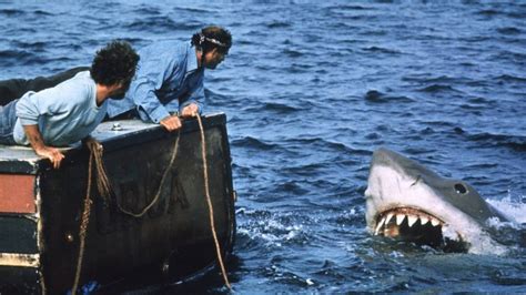 Jaws Cast: Catch Up With the Crew Nearly Fifty Years Later | First For Women