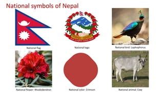 Festivals of Nepal.pptx