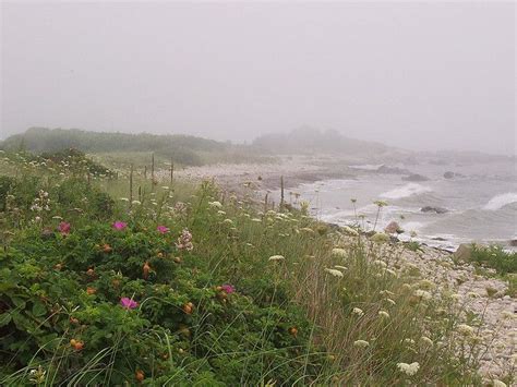 Westport Ma. | Natural landmarks, Westport, Summer house