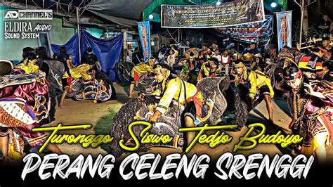 Perang Celeng Srenggi Turonggo Siswo Tedjo Budoyo Live Jl Sukorejo