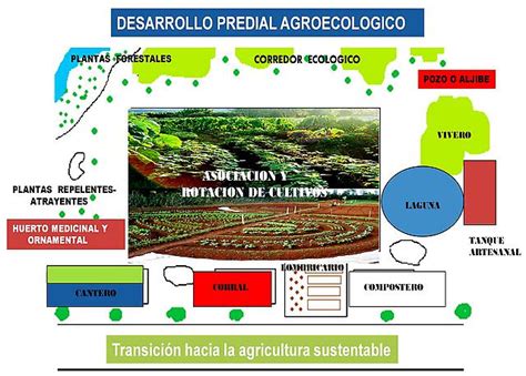 Desarrollo Predial Agroecologico Por Carlos Lanz Rodríguez y Mayi Cumare