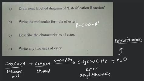 A Draw Neat Labelled Diagram Of Esterification Reaction B Write The M