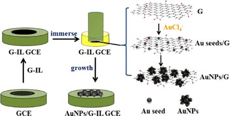 Schematic Illustration Of The Preparation Of Aunpsg Il Gce Reprinted