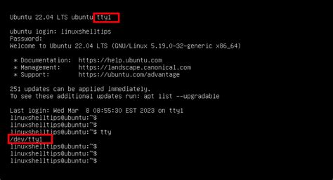 What Is Dev Tty Dev Tty And Dev Console In Linux