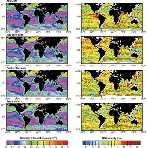 Left Seasonally Averaged Upper Ocean Chlorophyll Concentrations Download Scientific Diagram