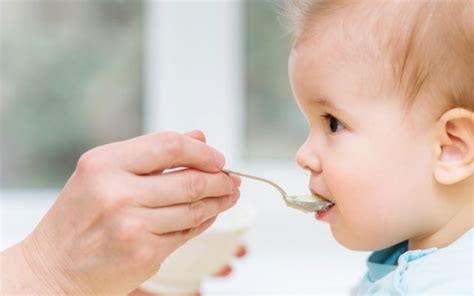 Los Mejores Cereales Para Bebé Con Y Sin Gluten En 2024