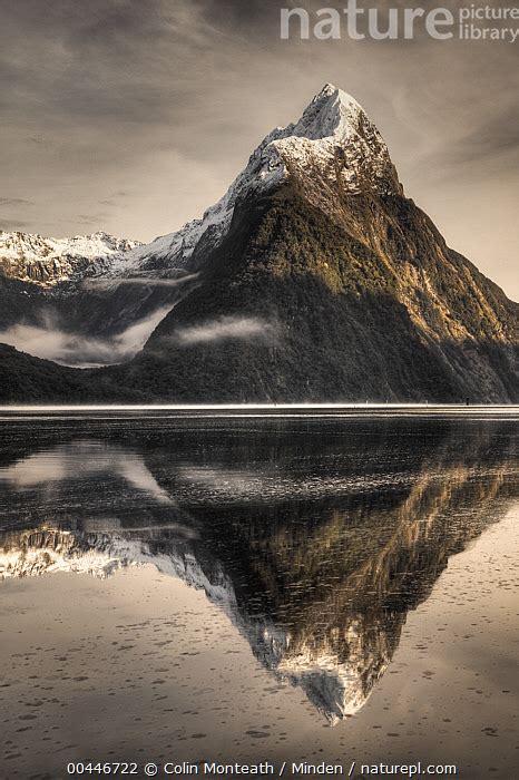 Stock Photo Of Mitre Peak Reflection Milford Sound Fjordland National