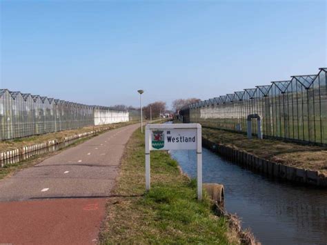 Hoogheemraadschap Delfland Mag Afvalwater Glastuinders Gaan Zuiveren