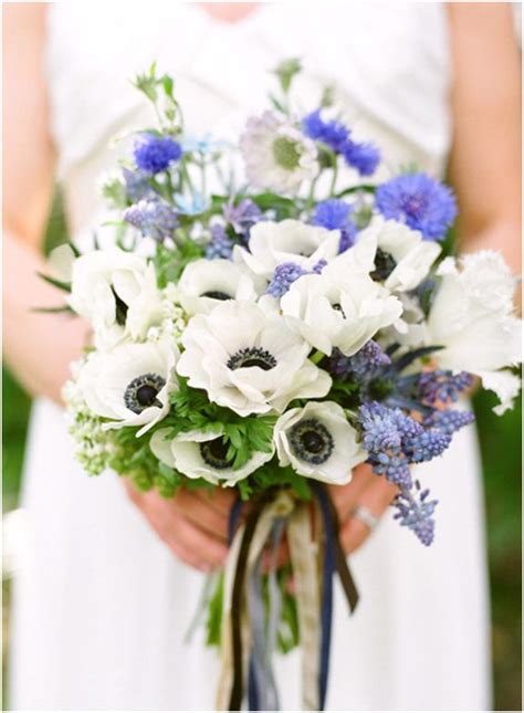 17 Best images about Cornflower (Bachelor's Buttons) Wedding Flowers on ...