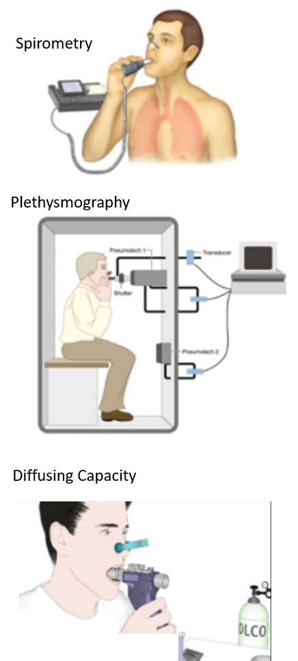 Pulmonary Function Tests PFT Overview And Understanding