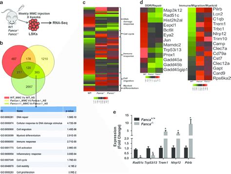 Gene Expression Profiling Identified Genes Altered In Expression A