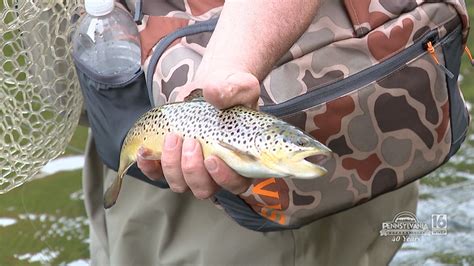 Fly Fishing The Lehigh River