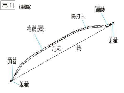 弓ユミとは？ 意味や使い方 コトバンク