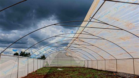 Constructing Greenhouses In Kenya Aqua Hub Ke