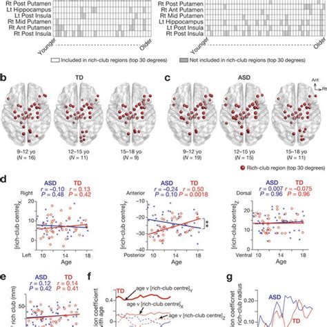 Brain Regions Forming Rich Club The Matrices Show Patterns Of Brain