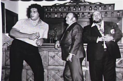 22 Incredible Stories That Prove Andre The Giant Was Larger Than Life Artofit