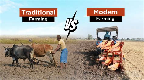 Difference Between Traditional Farming Vs. Modern Farming