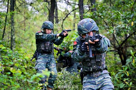 练为战！一起走进武警官兵野外实战化训练现场 大陆军事 华夏经纬网