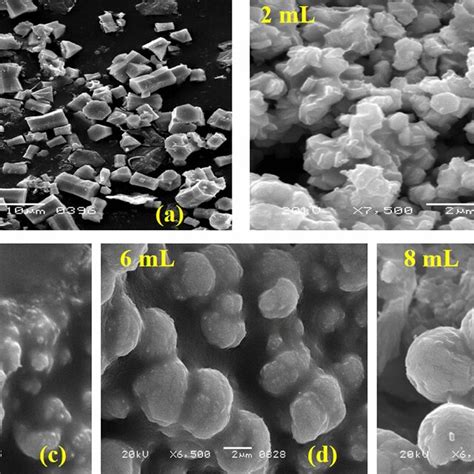 SEM Images A Pure ZnO Be ZnO Samples Prepared With Different Volumes