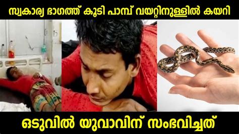 സ്വകാര്യ ഭാഗത്ത് കൂടി പാമ്പ് യുവാവിന്റെ വയറ്റിനുള്ളിലേക്ക് കടന്നു