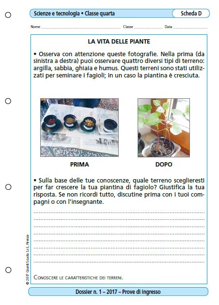 Prove D Ingresso Scienze E Tecnologia Classe 4 Raccolta Giunti Scuola